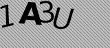 1A3U.jpg