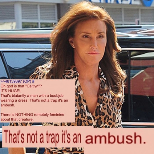 ambush.jpg