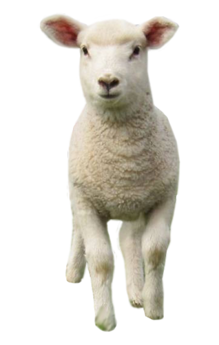 5j7w.png