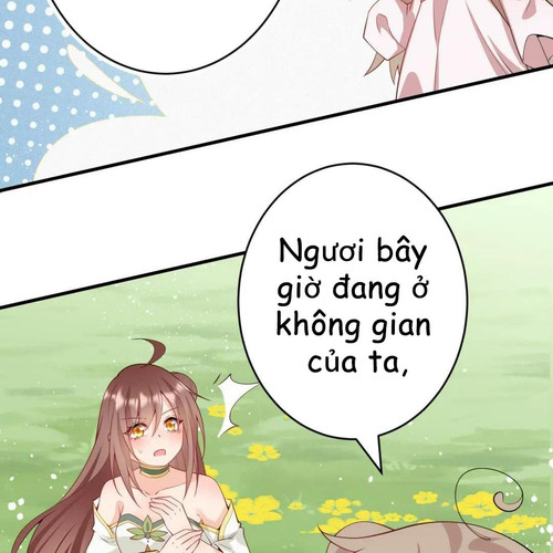 58.jpg