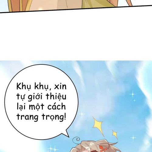 71.jpg
