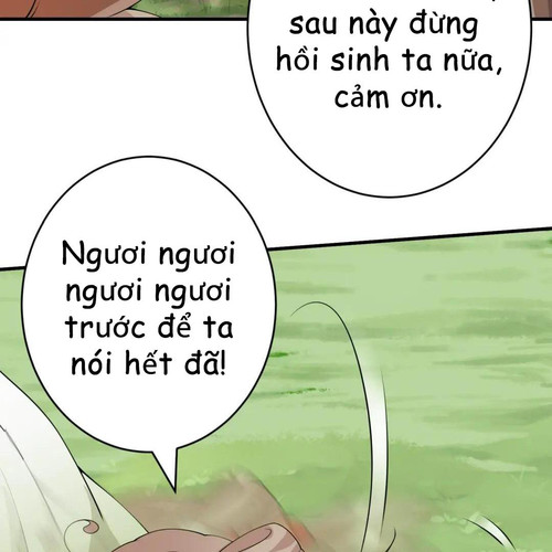 67.jpg