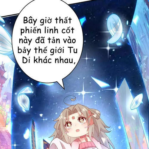 85.jpg