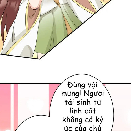 95.jpg