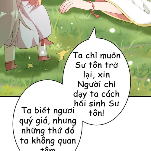 81.jpg
