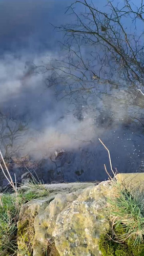 k2DLgv 8naBwaQ1M.jpg