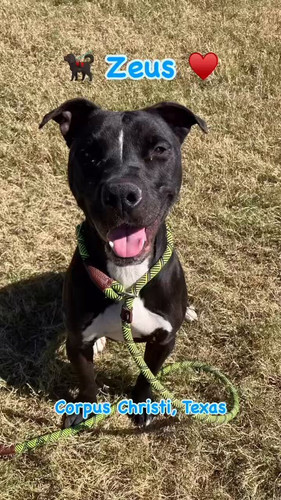 oGr hfu A8A Ujot.jpg