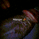 1000065146.gif