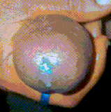 1000065147.gif