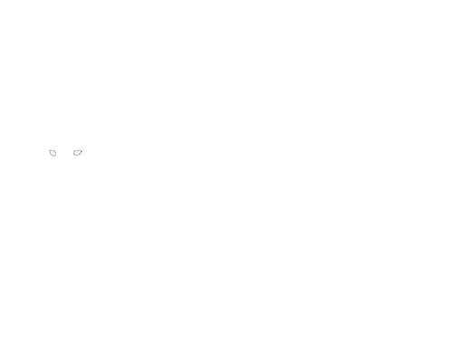 lion 7942376366086 (1).png