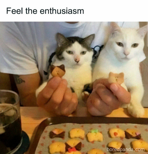 wholesome animal pics animalunusual 7 67a0d19d9dac0 700.jpg