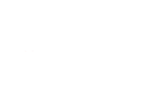 lion 7942376667249 (2).png