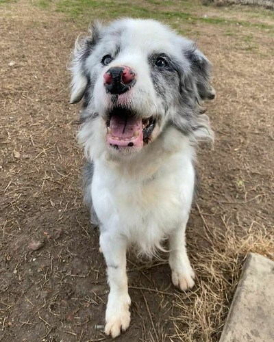 Co17dVtIwv4 png 700.jpg