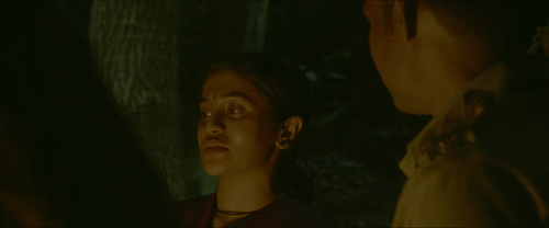 vlcsnap 2025 03 14 21h06m50s233.png