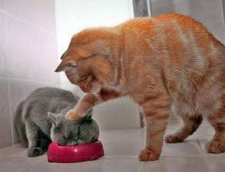 FB IMG 1742012862011.jpg