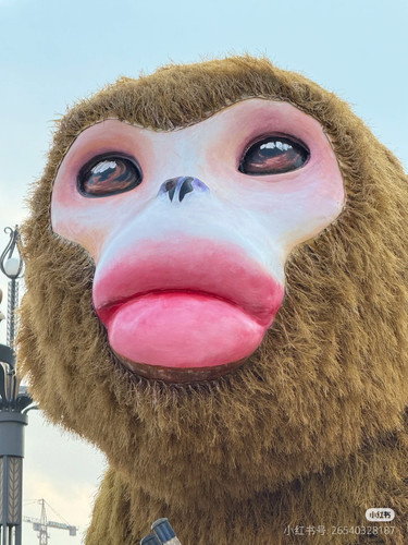 Camera XHS 17420107703421040g00831f0npn9b6a0g5pivm460u0gbtr68oso.jpg