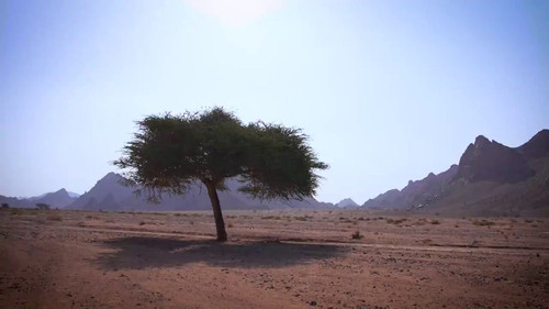 d 9mZBUFxpbmb2h9.jpg