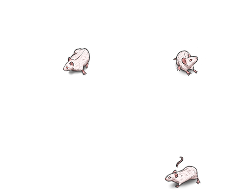 mice cd default.png