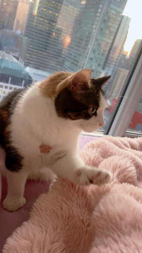 484481132 629388573216025 6928489968750942203 n.jpg