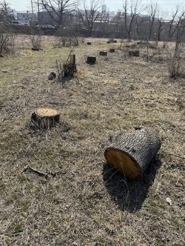 kCf7PsbszCV0ZrvXKg7II4xTZ9QBsiCWDsuVJLXXo01pnJj5yrNqUKLAl abhBoBgzrGTAYIA h929BppU5q41P L EmqaNyfBrf.jpg