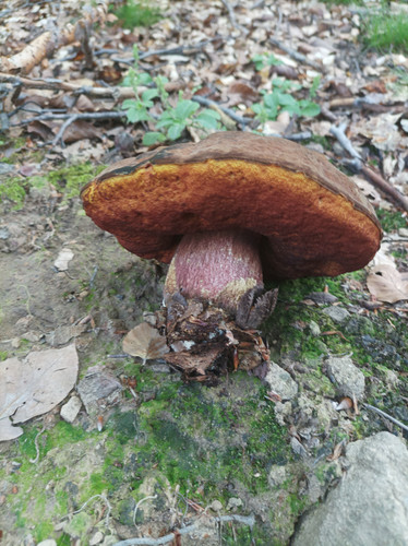 IMG 20220702 092748.jpg