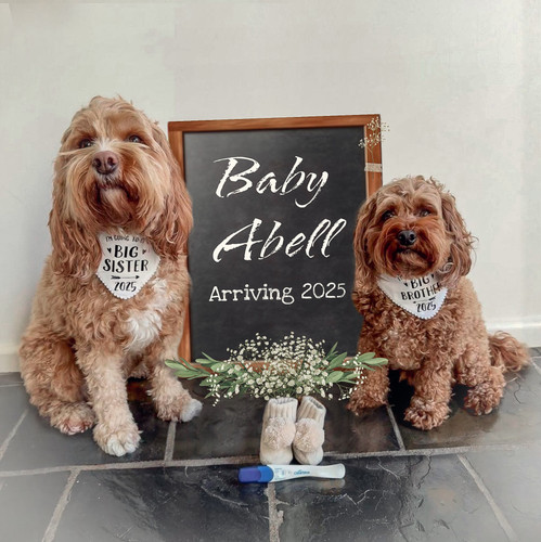 1BEE7B33 9799 4DB6 8EE9 E0CF06CDB045.jpg