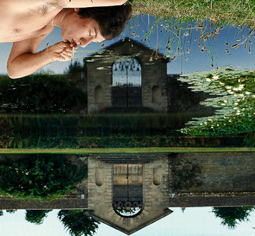 tumblr 378308515a19eb260c2dd3ca2351613a 1202ca21 1280.gif