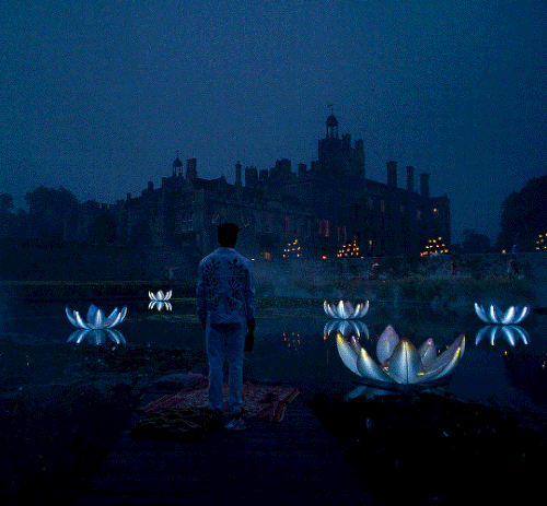 tumblr 30fe968378cd21fa4f6f38f60b4da7bb 3014429b 1280.gif