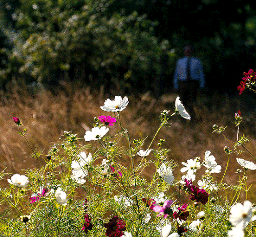 tumblr aa09eb959bd5de03b1254270bfc2a173 d9b0522e 1280.gif