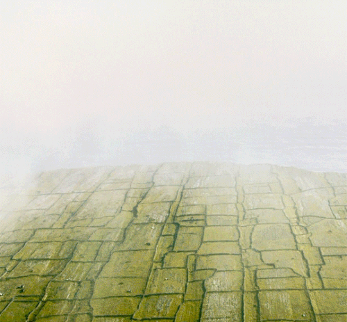 tumblr fbbc9143d777deab4c0010d8c9dd0f17 58be1767 540.gif