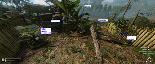 screenshot 2025 05 24 16 16 27 001.png