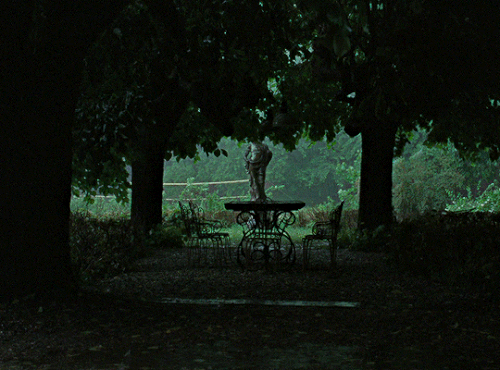 tumblr c70ae9910c3bebcb7d95c4cf8e58b787 91b1d5e7 540.gif