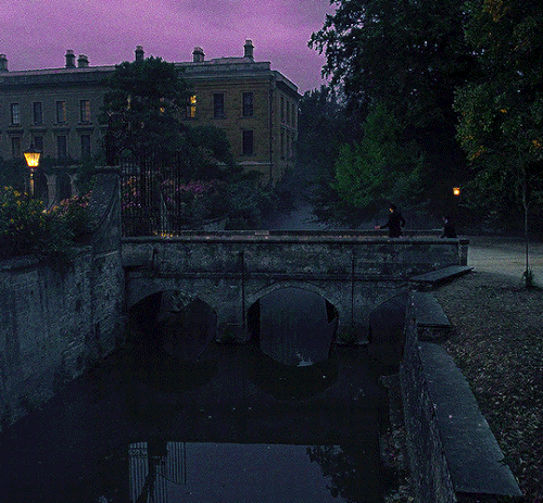 tumblr 116e1ebbb83adc9026588f21250ce7ce ee4acab4 1280.gif