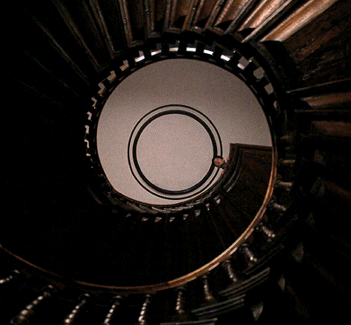 tumblr a739e5e27080359d744b8293a2177945 f78878a2 1280.gif