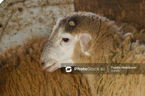 Kq3bSNFchYC7bdXQpM565ztU KHlcN1keDb4qpnF1b hAPk3Xg6CLskzocnJATr6W0jWsw 4NjQmbHATv2CwMlfcHSTZQl59OtNY.jpg