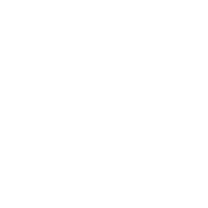 TOYOSLOT
