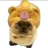 Discord iGtK7SIeNe.png