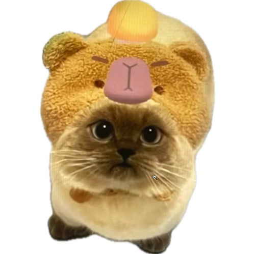 Discord 6x1rj68v5p.png