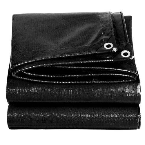 Untitled design (3).jpg