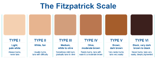 Fitz Scale.png