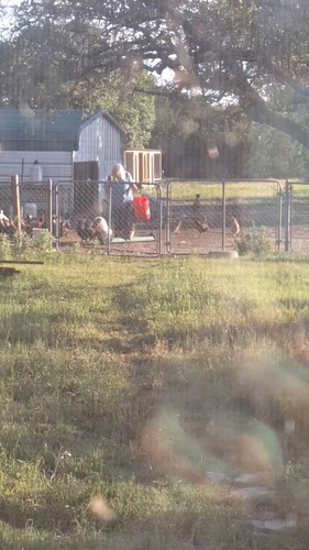 wAMt6an eU4KRvxS.jpg