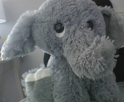 jopesh NOT joseph.jpg