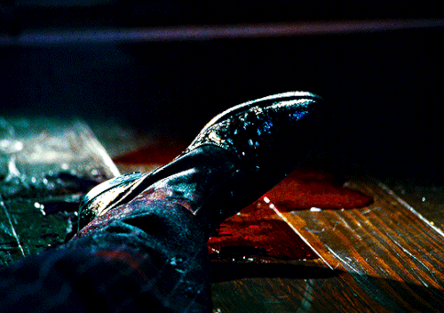 tumblr 7a61d2ac460c2370be405110ab139f85 90d281cd 540.gif