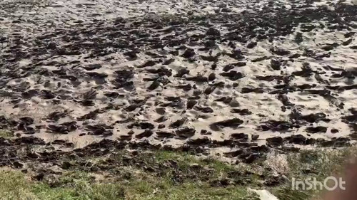 xt7i1WXUSNOI AUw.jpg