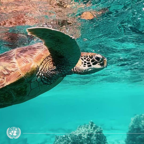 US4fG43Dgr FvOXp.jpg