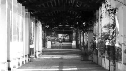 vlcsnap 2025 05 24 16h41m15s904.png