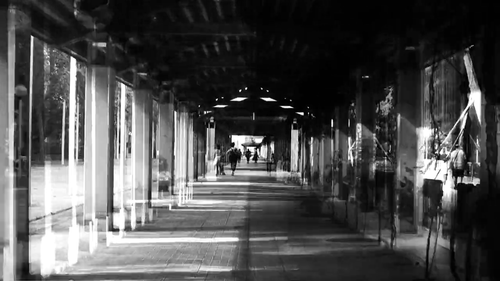 vlcsnap 2025 05 24 16h41m31s741.png