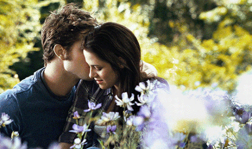 tumblr 83a62cd5452f546208c6b64913fe0b76 a7910478 540.gif