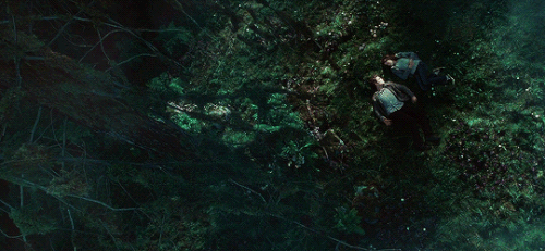 tumblr 8b6a0e95aeec5cf4824df5027323afdc 23d3a33f 540.gif