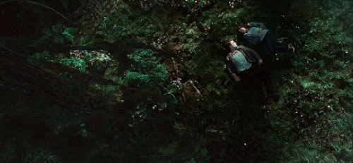 tumblr b082565fd6c5aed7d38acca65a32b303 71dea0f7 540.gif